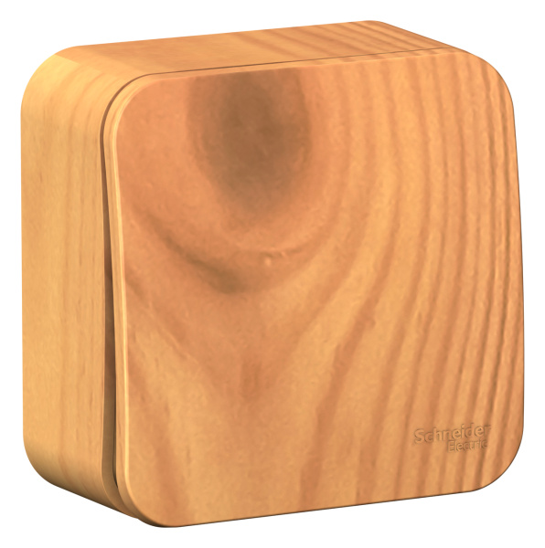 Купить Systeme Electric Blanca наруж Ясень Выключатель 1-клавишный, 10А, 250B