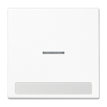 JUNG Клавиша для  выключателя с окошком для подсветки и полем для надписи белая LS990NAKO5WW