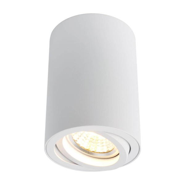 Arte Lamp Потолочный светильник A1560PL-1WH SENTRY