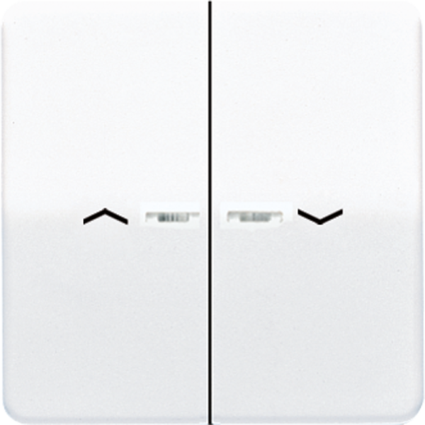 JUNG Клавиши для сдвоенной кнопки BCU белые CD595KO5PWW