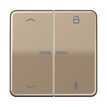 JUNG Таймер универсальный Bluetooth «стрелки», золотая бронза CD1751PBTGB