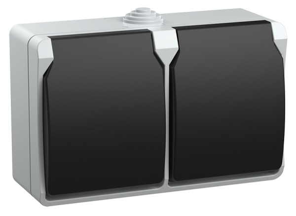 IEK FORS РСб22-3-ФСр Розетка двухместная с з/к для открытой установки IP54