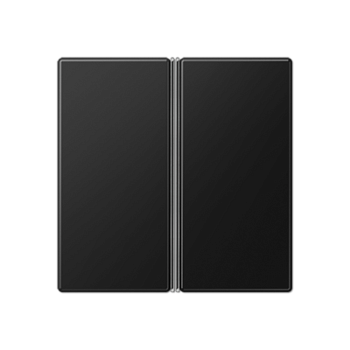 JUNG Набор накладок 2 группы для модулей F40 термопласт черный матовый A402TSASWM