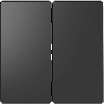 SE Merten D-Life Антрацит Клавиша 2-ная MTN3400-6034