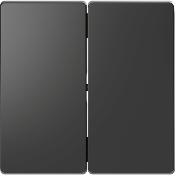 SE Merten D-Life Антрацит Клавиша 2-ная MTN3400-6034