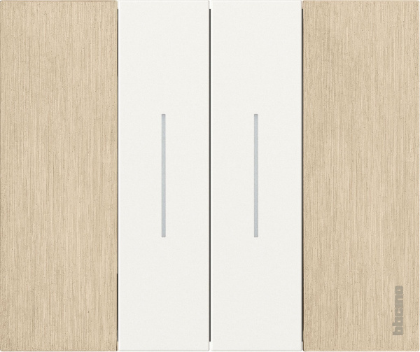 Купить BT Living now Золото Рамка немецкий стандарт 2 мод KA4802ZW