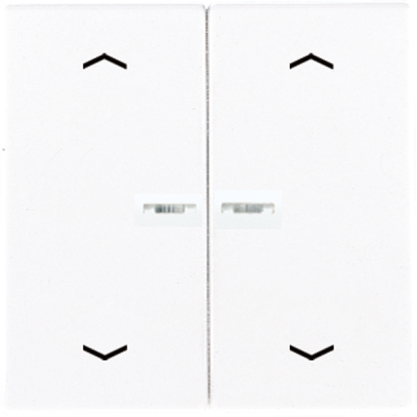 JUNG Клавиши для сдвоенной кнопки BCU белые LS995KO5MPWW