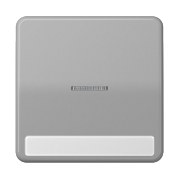 JUNG CD 500/CD plus Серая Клавиша 1-ая с/п с полем для надписи CD590NAKO5GR