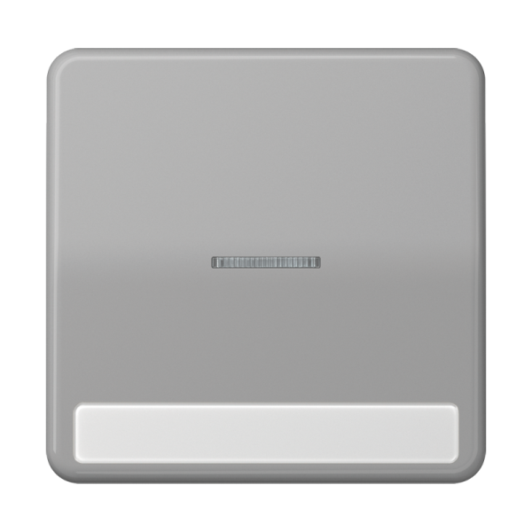 JUNG CD 500/CD plus Серая Клавиша 1-ая с/п с полем для надписи CD590NAKO5GR