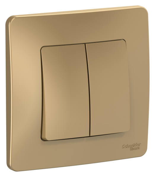 Купить Systeme Electric Blanca внутр Титан Переключатель 2-клавишный, 10А, 250B