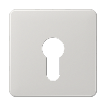 JUNG центральная плата для вставки с ключом, светло-серый CD525LG