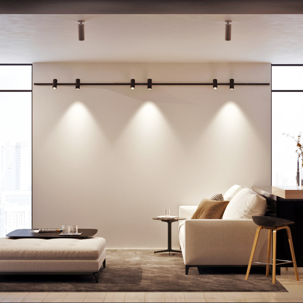 Arlight Корпус подвесной с драйвером для светильника POLO (1 часть из 3), белый алюминий, Ø65x450мм, встроенный драйвер PRI:220-240VAC, SEC:DC 200mA 3 024441 Купить Arlight Корпус подвесной с драйвером для светильника POLO (1 часть из 3), белый алюминий, Ø65x450мм, встроенный драйвер PRI:220-240VAC, SEC:DC 200mA 3 024441