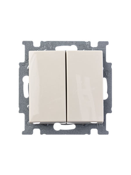 Купить ABB BJB Basic 55 Беж Выключатель 2-х клавишный 2CKA001012A2148