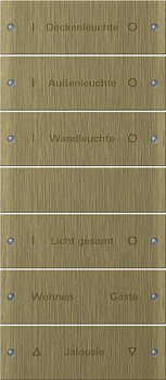 Gira Instabus Бронза Набор клавиш 6-местн. (3+3) (гравировка) 2136607