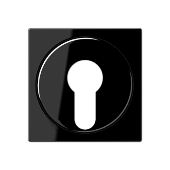 JUNG Крышка для выключателя с замком черный A528PLSW