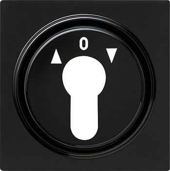 Gira Накладка выключателя с ключом 066447