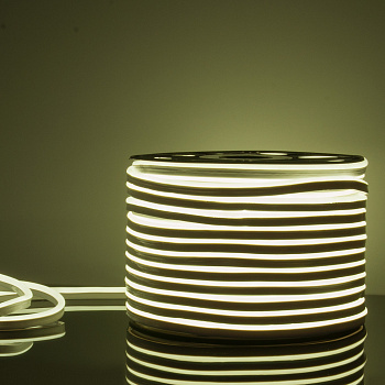 Elektrostandard LS001 220V / Лента светодиодная Гибкий неон 9.6W 120Led 2835 IP67 6500K односторонний холодный белый, 50 м a040597
