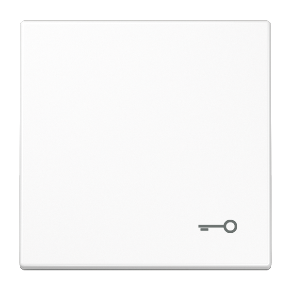 JUNG SL 500 Черная Клавиша 2-ая с подсветкой SL595KO5SW