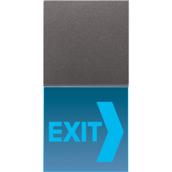 JUNG Крышка LED сигнального света для блока SV539LED антрацит AL2539N71ANLEDB