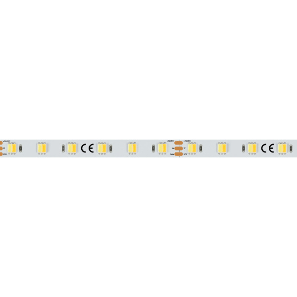 Arlight Светодиодная лента RT 6-5000 24V White-MIX-One 2x (5060, 60 LED/m, LUX) (14.4 Вт/м, IP20) 025214 Купить Arlight Светодиодная лента RT 6-5000 24V White-MIX-One 2x (5060, 60 LED/m, LUX) (14.4 Вт/м, IP20) 025214
