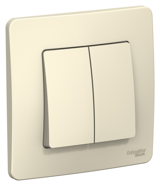 Купить Systeme Electric Blanca внутр Молочный Выключатель 2-клавишный, 10А, 250B