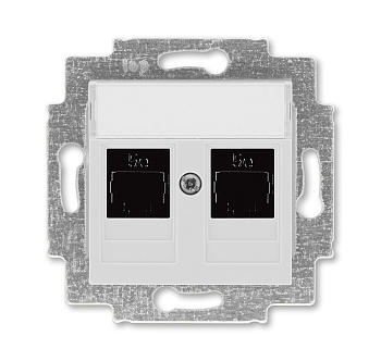 ABB EPJ Levit серый / белый Розетка компьютерная, 2хRJ45 кат,5e, серый 2CHH295118A6016