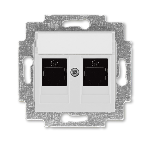 ABB EPJ Levit серый / белый Розетка компьютерная, 2хRJ45 кат,5e, серый 2CHH295118A6016