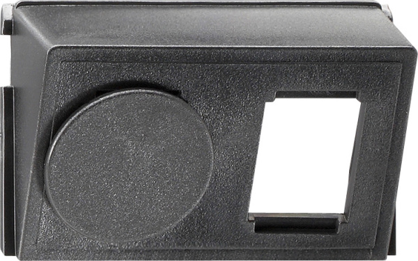 Купить Gira Вставка для Modular Jack/Western Jack AMP двойная 003900