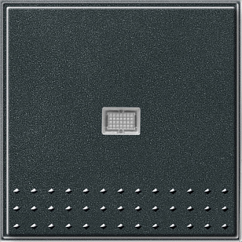 Gira Выключатель с самовозвратом с клавишей с подсветкой 012067