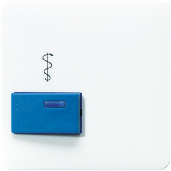 JUNG Крышка для изделий фирмы Ackermann CD022A-2WW