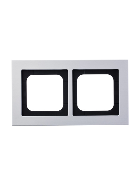 Купить ABB Axcent металл/титан Рамка 2-постовая 2CKA001754A4699
