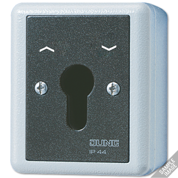 JUNG Выключатель для замочного механизма универсальный IP44 806.28G