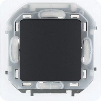 Legrand INSPIRIA Антрацит Переключатель IP44 10 AX - 250 В 673673