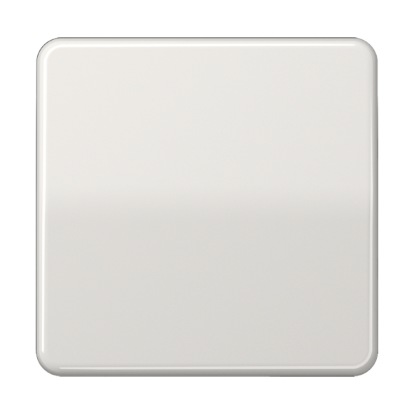 JUNG CD 500/CD plus Светло-серая Клавиша 1-ая CD590LG