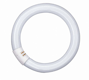 Osram Лампа кольцевая люминесцентная LUMILUX T9 L 22W/840 C G10Q 4008321581082