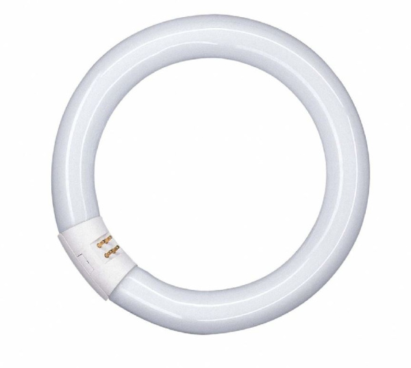 Osram Лампа кольцевая люминесцентная LUMILUX T9 L 22W/840 C G10Q 4008321581082