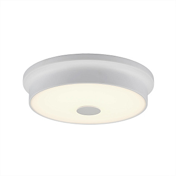 Citilux CL706220 Фостер-2 Белый Светильник Наст.-Потол