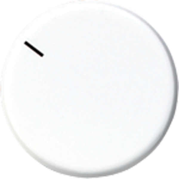 JUNG Специальная накладка, белый MSTR231WW