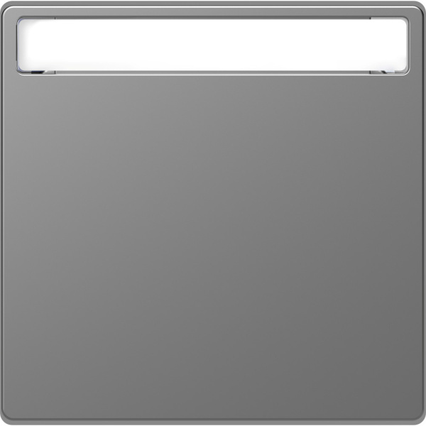 SE Merten D-Life Нержавеющая Сталь Клавиша 1-ая с полем для надписи MTN3360-6036