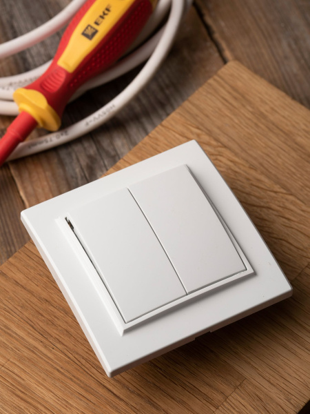 Купить EKF Basic Минск Белый Выключатель 2-кл, 10А, СП