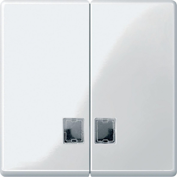 Купить SE Merten SM Клавиша 2-ая с окнами для символов (MTN438519)