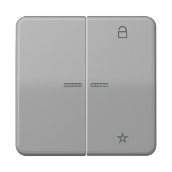 JUNG Центральная плата универсальная, серый CD1701GR