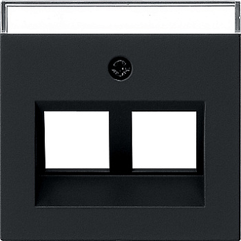 Gira Накладка с полем надп Mod. Jack 30° 2640005