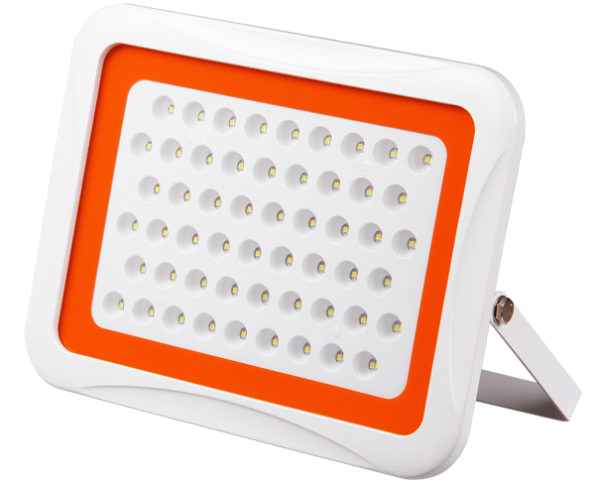 Купить Jazzway Прожектор PFL-SA-100W 6500K 60° IP65 .5007994