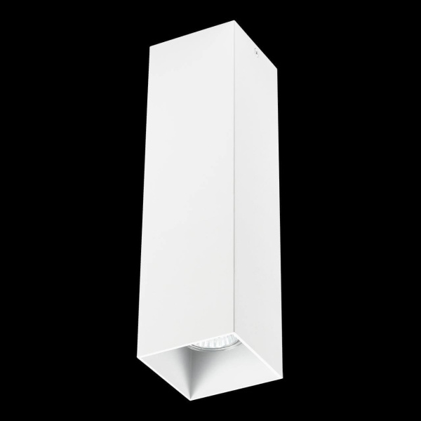 Купить Lightstar Светильник точечный накладной декоративный под заменяемые галогенные или LED лампы Rullo Lightstar 216596