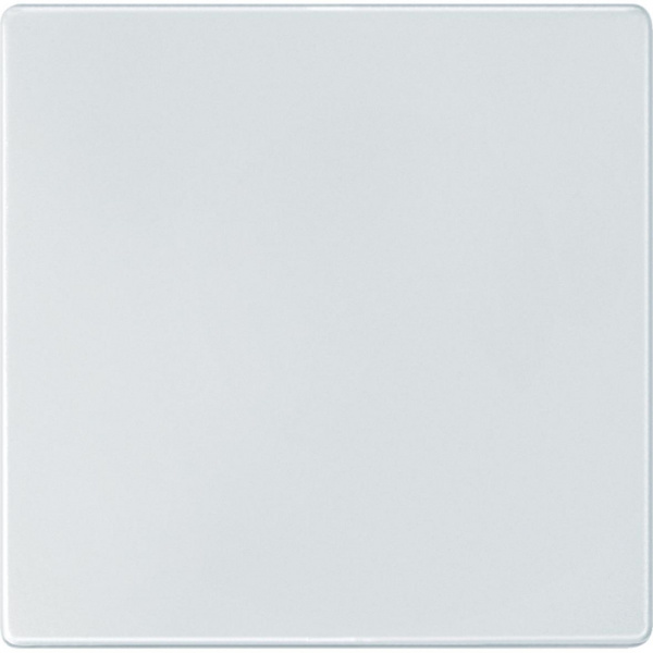 Купить SE Merten Aquadesign Полярно-Бел Клавиша 1-ая MTN343119