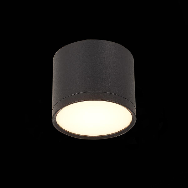 Купить ST Luce ST113.432.09 Светильник потолочный Черный LED 1*9W 3000K 702Lm Ra>80 120° IP20 D88xH75 170-240V