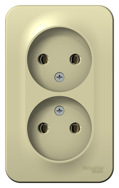Купить Systeme Electric Blanca наруж Беж Розетка 2-ая б/з без шторок, изолир. пластина 16А, 250В