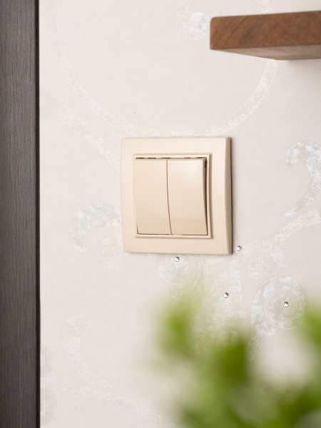 Купить EKF Basic Минск Бежевый Выключатель 2-кл, 10А, СП