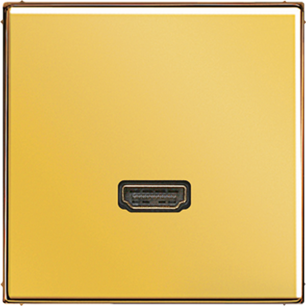 JUNG Мультимедиа разъём MAGO1112